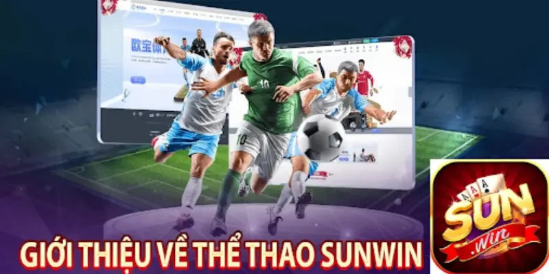 Giới thiệu Sảnh Thể Thao tại nhà cái Sunwin